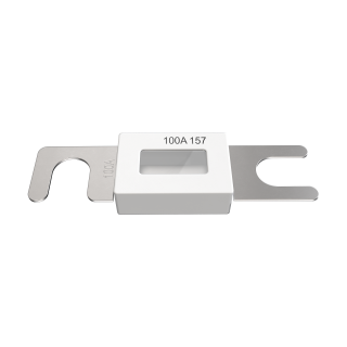 Fuse, ANL 100A, slow blow